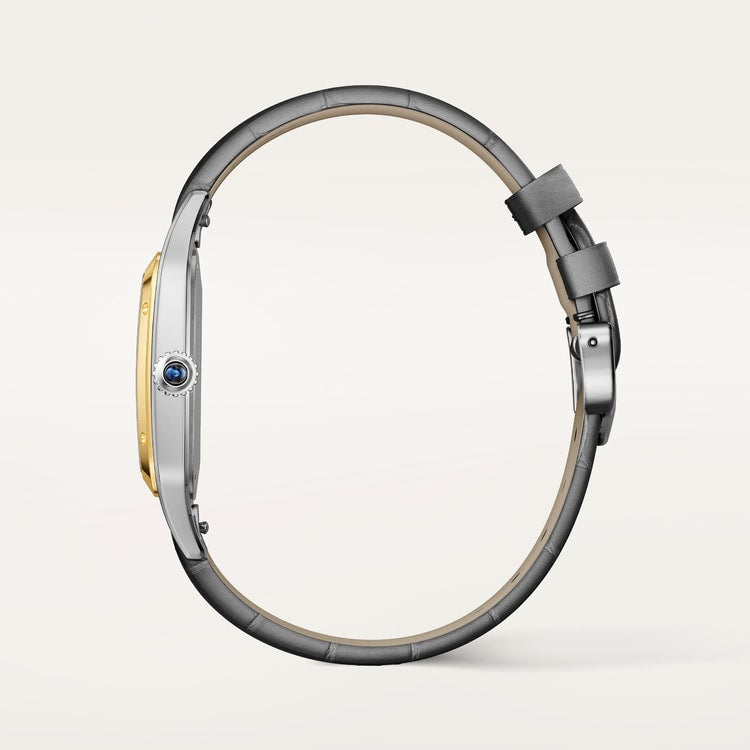 Cartier Santos-Dumont watch W2SA0046