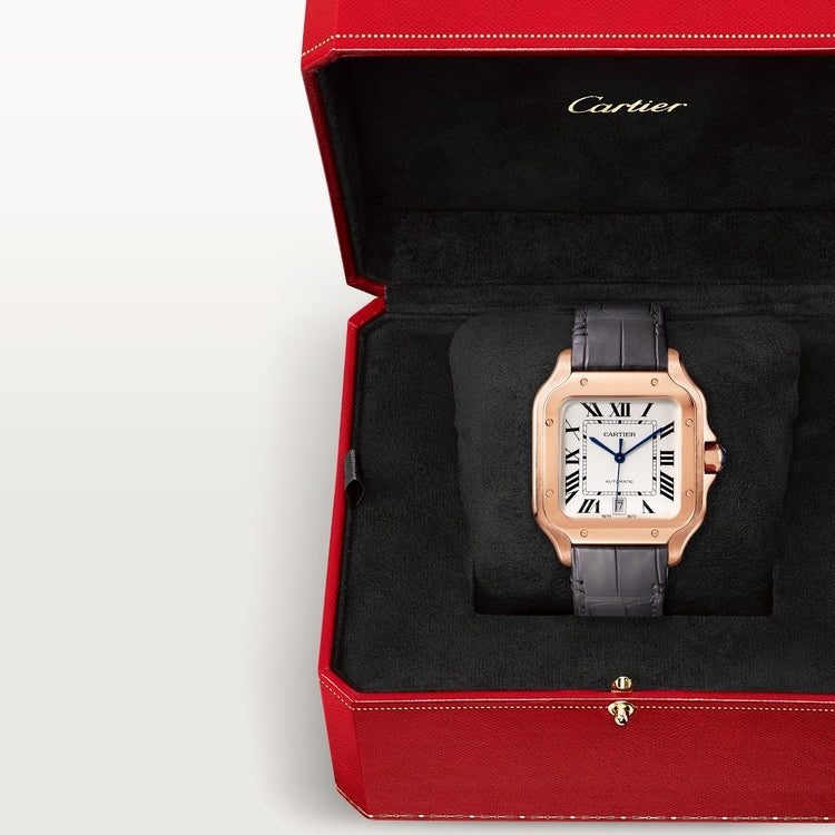 Cartier Santos de Cartier watch WGSA0019