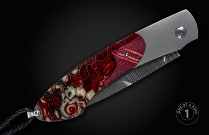 William Henry KNIVES KC26049
