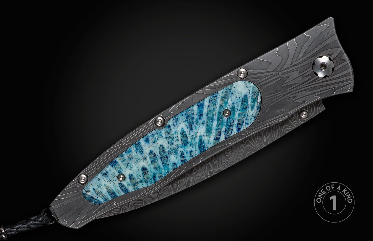 William Henry KNIVES KC26067