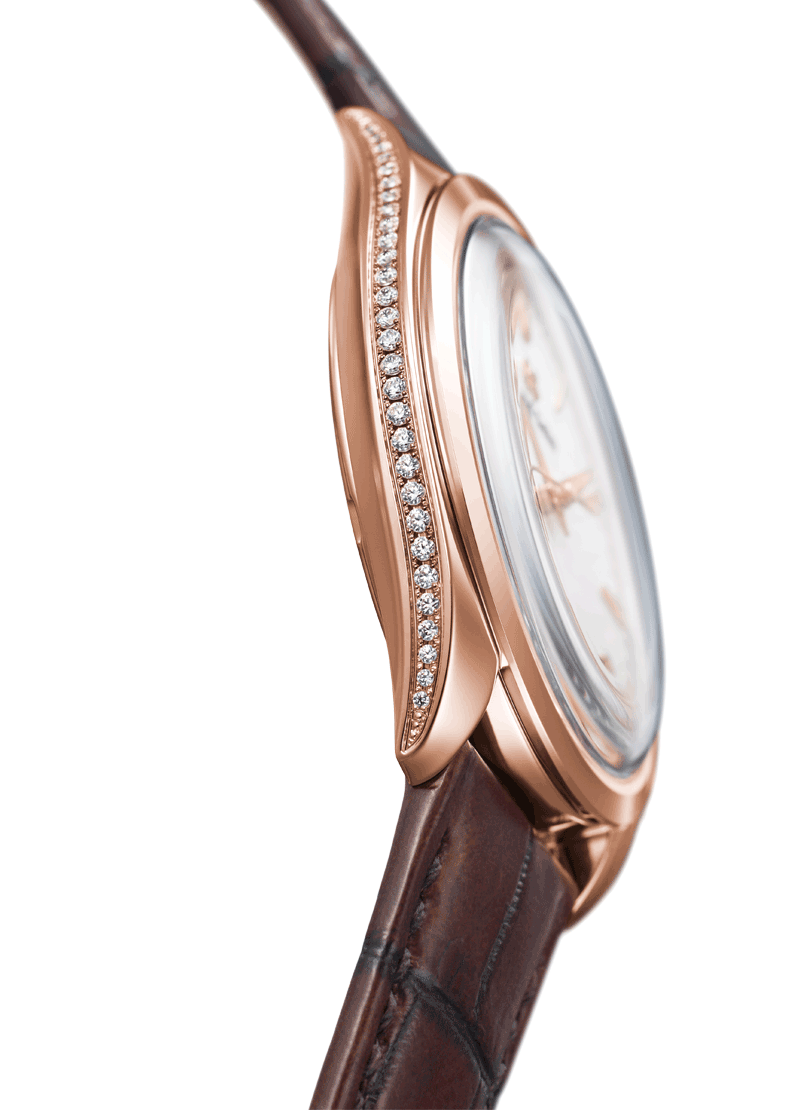 Grand Seiko Spring Drive Manual SBGY008
