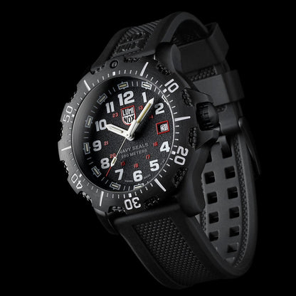 Luminox Navy SEAL 4230, 45mm, Military Dive Watch XS.4231.SET