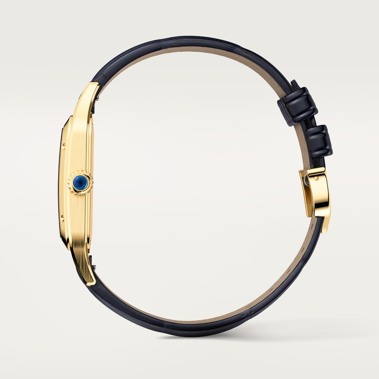 Cartier Santos-Dumont watch WGSA0115