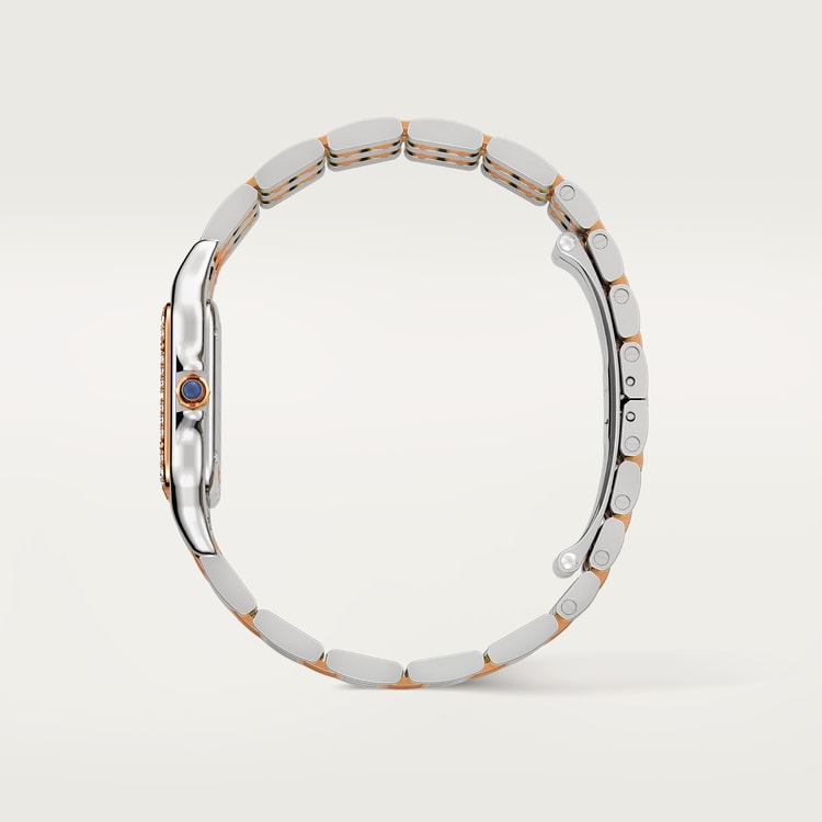 Cartier Panthère de Cartier watch W3PN0015