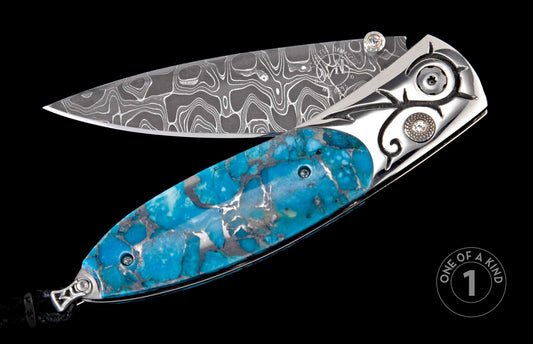 William Henry KNIVES KC20393