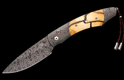William Henry KNIVES Ancestor B12 ANCESTOR