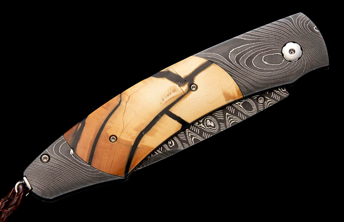 William Henry KNIVES Ancestor B12 ANCESTOR