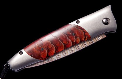 William Henry KNIVES Conifer B30 CONIFER