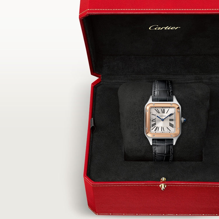 Cartier Santos-Dumont watch W2SA0038