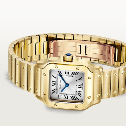 Cartier Santos de Cartier watch WGSA0107