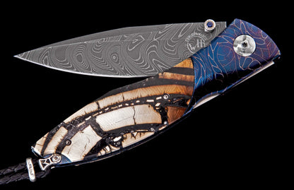 William Henry KNIVES KC20426