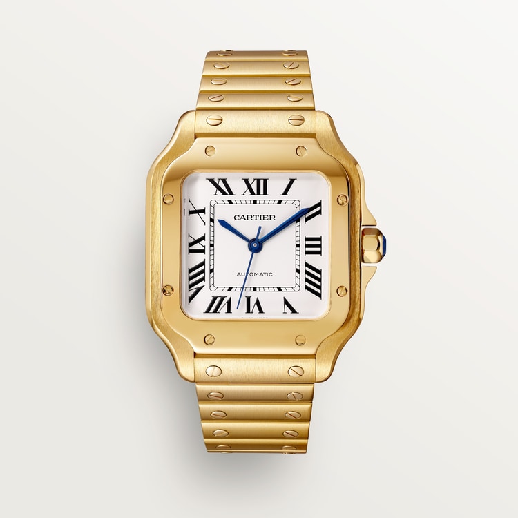 Cartier Santos de Cartier watch WGSA0030