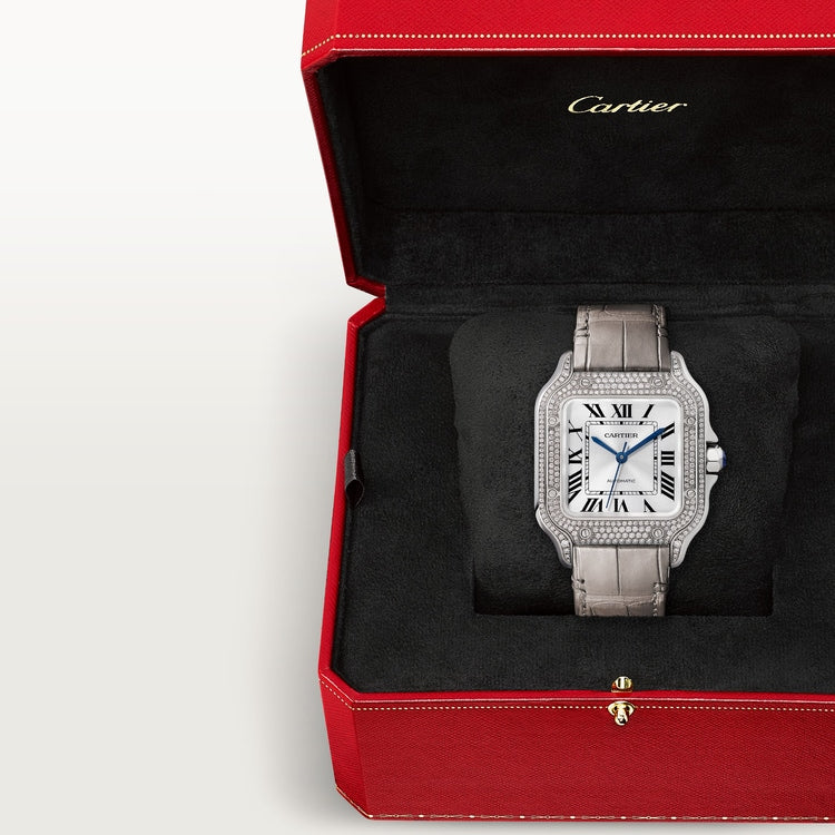 Cartier Santos de Cartier watch WJSA0014