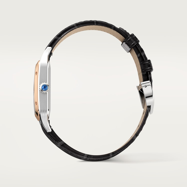 Cartier Santos-Dumont watch W2SA0038