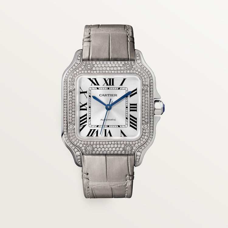 Cartier Santos de Cartier watch WJSA0014
