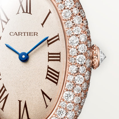 Cartier Baignoire watch WJBA0047