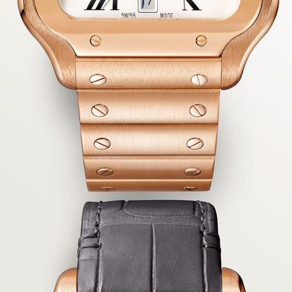 Cartier Santos de Cartier watch WGSA0018