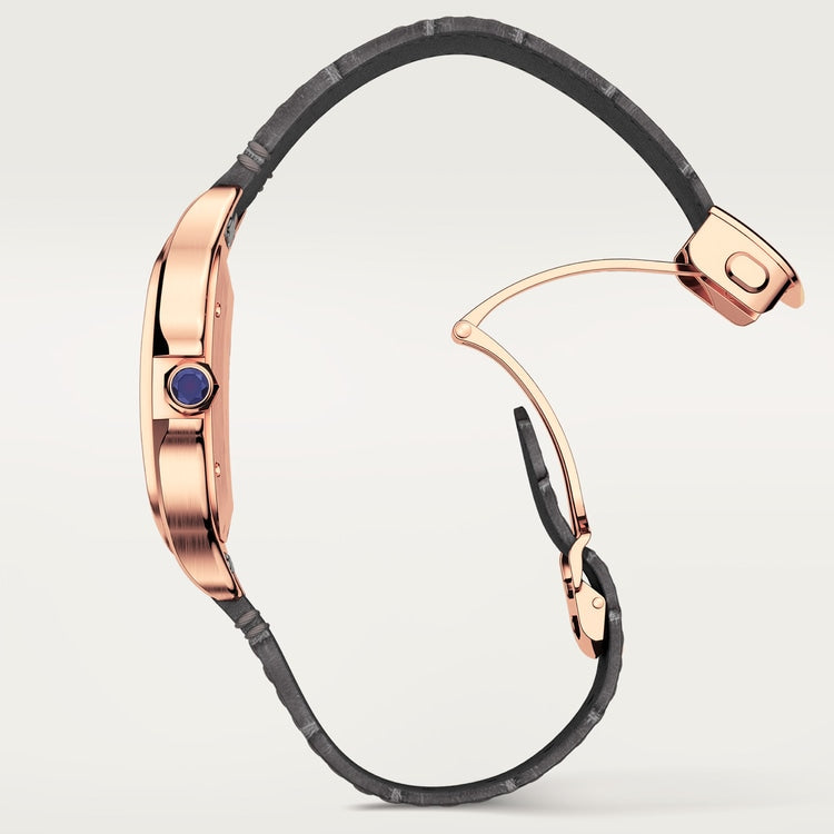 Cartier Santos de Cartier watch WGSA0019