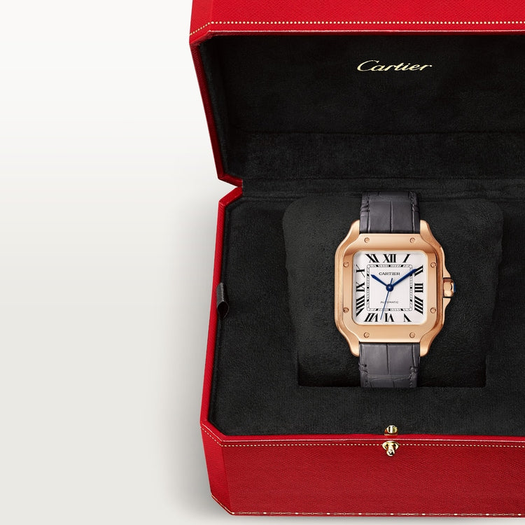 Cartier Santos de Cartier watch WGSA0028