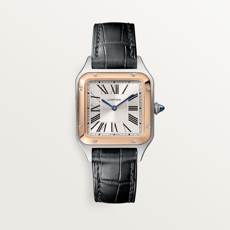 Cartier Santos-Dumont watch W2SA0038