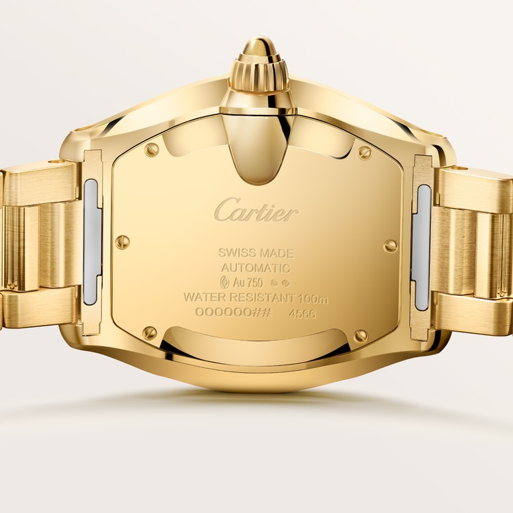Cartier Roadster watch WGRD0012