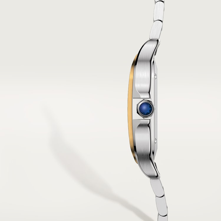 Cartier Santos de Cartier watch W2SA0016
