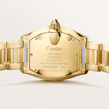Cartier Roadster watch WGRD0011
