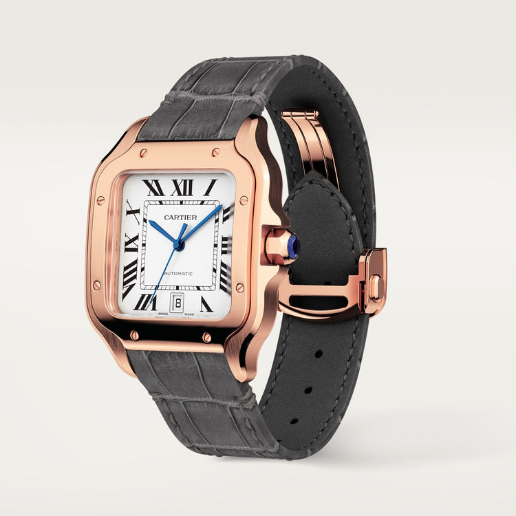 Cartier Santos de Cartier watch WGSA0019
