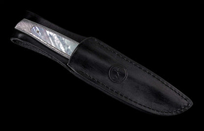 William Henry F35 Lagoon