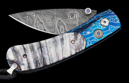 William Henry KNIVES KC20502