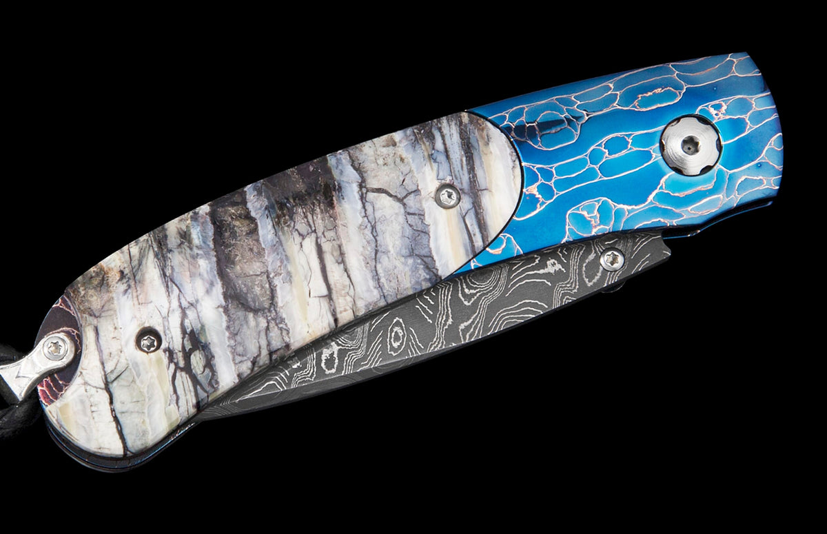 William Henry KNIVES KC20502