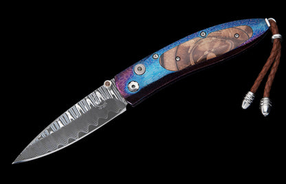 William Henry KNIVES KC20506