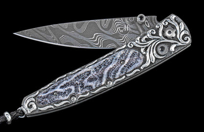 William Henry KNIVES KC24037