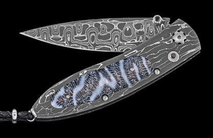 William Henry KNIVES KC24062