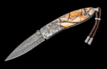 William Henry KNIVES KC25019