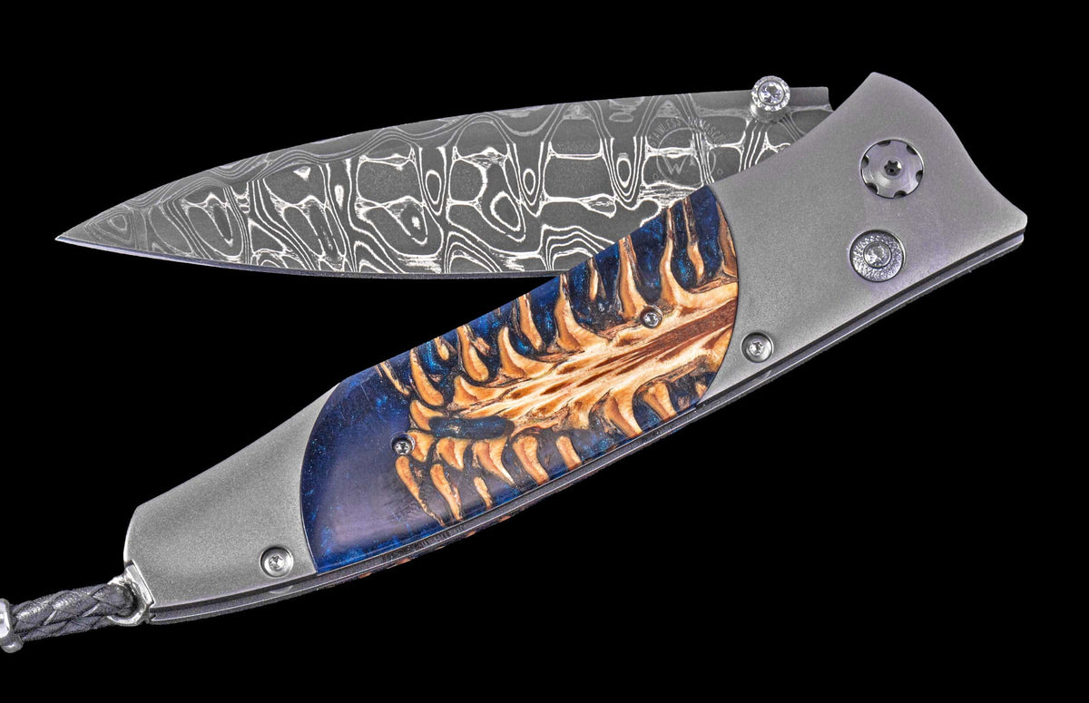 William Henry KNIVES KC25067