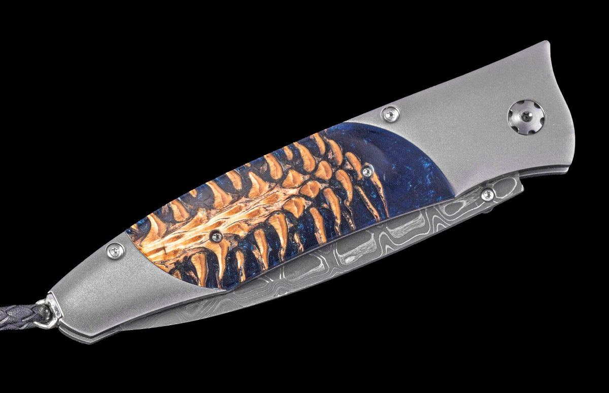 William Henry KNIVES KC25067