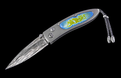 William Henry KNIVES KC25079