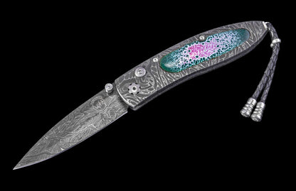 William Henry KNIVES KC25080